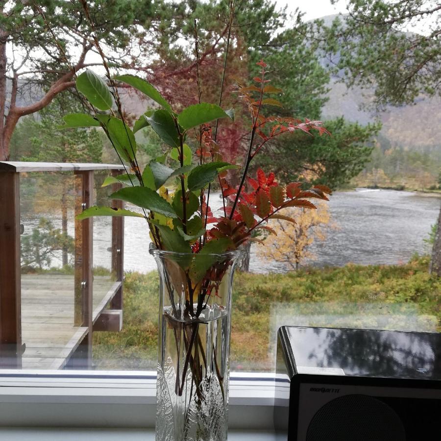 Hytte Ved Gaularfjellet Viksdalen 外观 照片